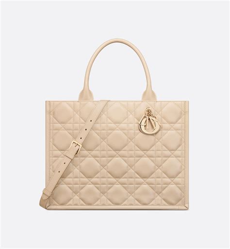 dior tote 中型